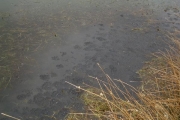 image_kl_005
