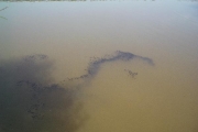 image_kl_010