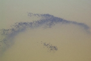image_kl_011
