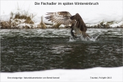 26_01_Beschriftung_Fischadler_Wintereinbbruch-1