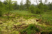 22_06_Ochsenmoor_0170