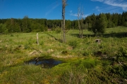 22_09_Ochsenmoor_9746_L