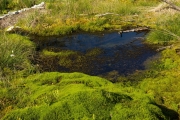 22_10_Ochsenmoor_9744_L