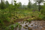 22_11_Ochsenmoor_0176