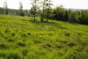 22_18_Ochsenmoor_9758