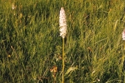 image_kl_001
