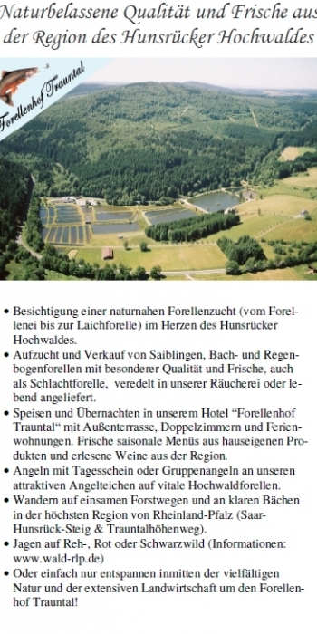 Flyer Seite 1