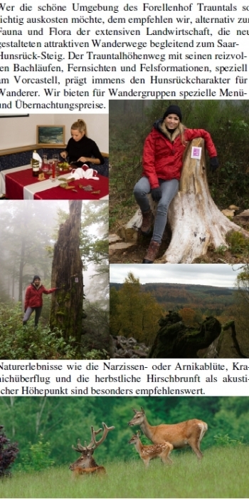 Flyer Seite 7