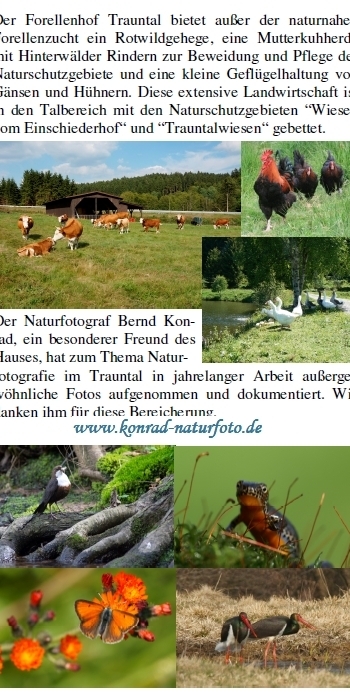 Flyer Seite 8