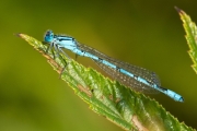 13_10_Libelle_0657