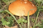 image_kl_005
