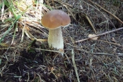 image_kl_007