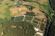 birkenfeld30.05 086