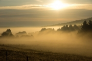 02_03_Trauntal_Nebel_2107
