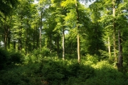 04_01_Bösklausfels_9792