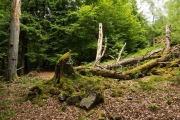 04_02_Bösklausfels_0045