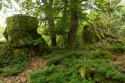 05_02_Beilfelsen_0253