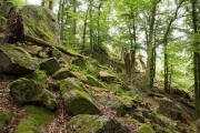 05_04_Luisenfelsen_0258
