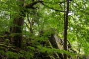 05_06_Luisenfelsen_0264