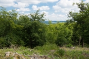 05_07_Friedrichskopf_0658