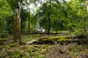 05_09_Friedrichskopf_0669