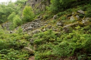 06_01_Keltenring_0432