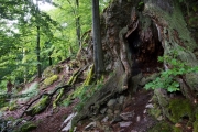 06_03_Keltenring_0419