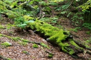 06_05_Keltenring_0413
